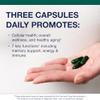 Metagenics PhytoMulti Multivitamin - 20+ Essential Vitamins & Minerals with Phytonutrients - Supports Healthy Aging, Cellular Health, Energy & Immune Function - Non-GMO & Gluten-Free - 60 Capsules view 2