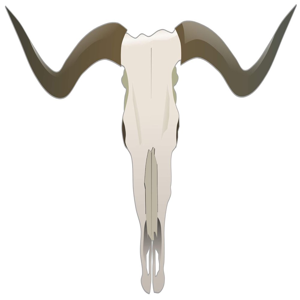 1/8 Sheet ~ Animated Longhorn Skull Birthday ~ Edible Cake/Cupcake Topper!!!