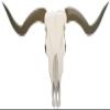 1/8 Sheet ~ Animated Longhorn Skull Birthday ~ Edible Cake/Cupcake Topper!!! view 1