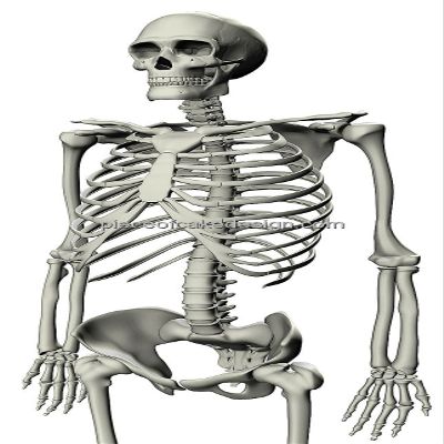 3" Round ~ Animated Skeleton Birthday ~ Edible Cake/Cupcake Topper!!!