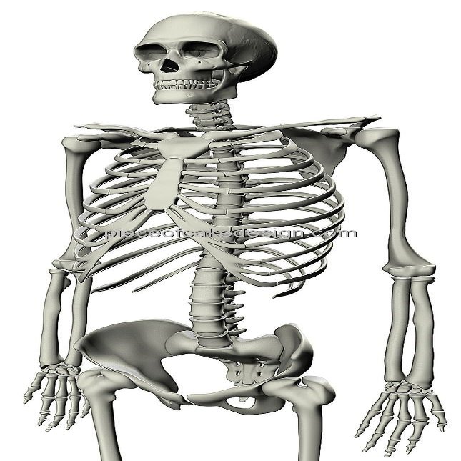 3" Round ~ Animated Skeleton Birthday ~ Edible Cake/Cupcake Topper!!!