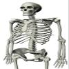 3" Round ~ Animated Skeleton Birthday ~ Edible Cake/Cupcake Topper!!! view 1