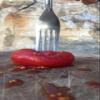 100% Italian Tomatoes Gustarosso DaniCoop  Campania, Italy - 14.1 oz (400g) view 4