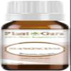 Frankincense Essential Oil 10 ml. Extract of Boswellia Serrata 100% Pure Undiluted Therapeutic Grade. view 1