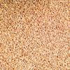 2 lb. Organic Hulled Spelt Bag | High Protein, Fiber, B Vitamins | Rice Substitute | Grain Place Foods view 2