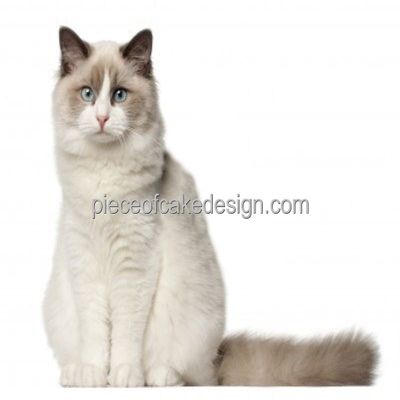 2" Round ~ Cat Breeds Ragdoll Birthday ~ Edible Cake/Cupcake Topper!!!