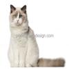 2" Round ~ Cat Breeds Ragdoll Birthday ~ Edible Cake/Cupcake Topper!!! view 1