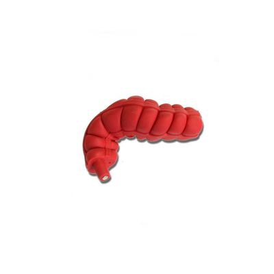 Ascending/Transverse Large Intestine 