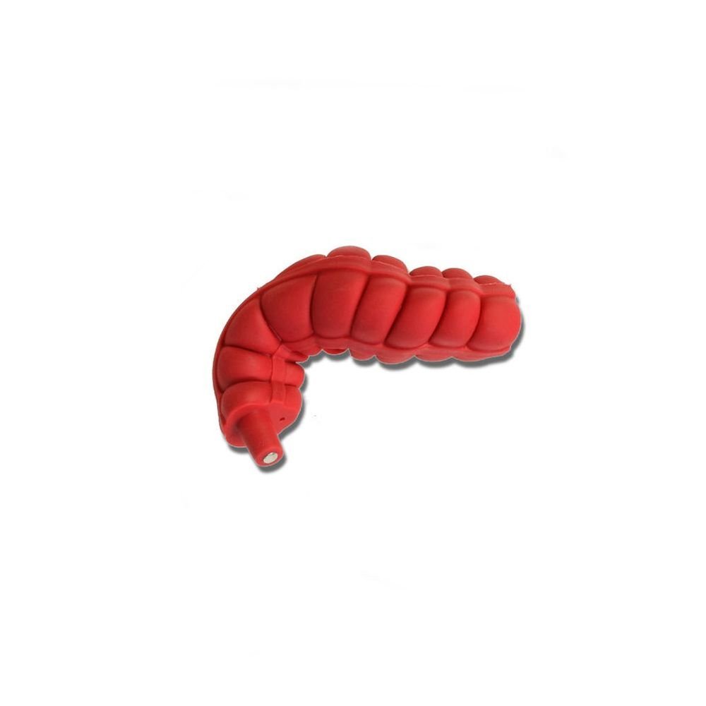Ascending/Transverse Large Intestine 