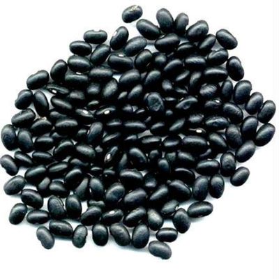 Beans Black Turtle 25-Pound (Pack of 25)25