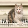2" Round ~ Baby Kitten Piano Birthday ~ Edible Cake/Cupcake Topper!!! view 1