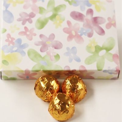 Scott's Cakes Dark Chocolate Black Walnut Cream Filling Candies with Copper Foils in a 1 Pound Daisy Box