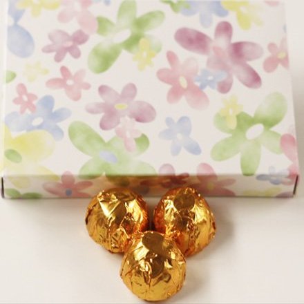 Scott's Cakes Dark Chocolate Black Walnut Cream Filling Candies with Copper Foils in a 1 Pound Daisy Box