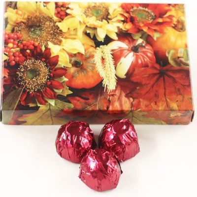 Scott's Cakes Dark Chocolate Peanut Butter Truffle Cream Filling Candies with Burgandy Foils in a 1 Pound Fall Leaf Box