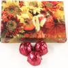 Scott's Cakes Dark Chocolate Peanut Butter Truffle Cream Filling Candies with Burgandy Foils in a 1 Pound Fall Leaf Box view 1