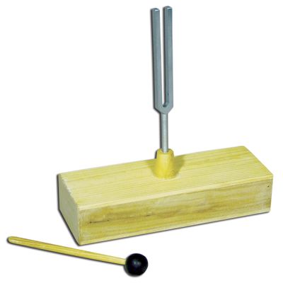 Delta Education Resonance Box with Tuning Fork, 320 Hz