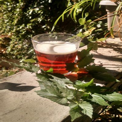 1 Gallon Beer Recipe (Session IPA)