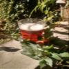 1 Gallon Beer Recipe (Session IPA) view 1