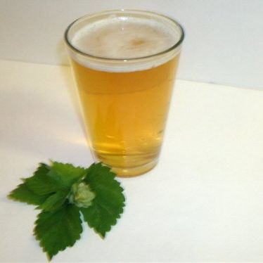 1 Gallon Beer Recipe (Frat House Lager)