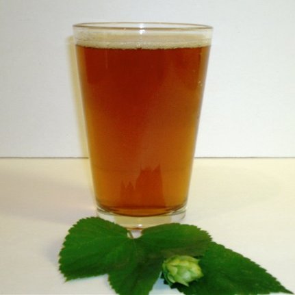1 Gallon Beer Recipe (Marzen Fest)