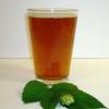 1 Gallon Beer Recipe (Marzen Fest) view 1