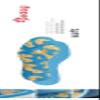 Pedag Soft | Fabric Covered Latex Foam Insoles | Lemon Scented | Children Size US 8C/9C-EU 24/25 | 3 Pair view 3