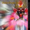 Kali Puja Live view 1