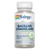 SOLARAY Bacillus Coagulans Probiotic - 5 Billion Live Microorganisms - Digestion and Gut Health Support - Full Body Health Probiotics with Inulin Prebiotic Fiber, 60-Day Guarantee, 30 Serv, 60 VegCaps view 1