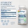 SOLARAY Bacillus Coagulans Probiotic - 5 Billion Live Microorganisms - Digestion and Gut Health Support - Full Body Health Probiotics with Inulin Prebiotic Fiber, 60-Day Guarantee, 30 Serv, 60 VegCaps view 2