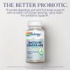 SOLARAY Bacillus Coagulans Probiotic - 5 Billion Live Microorganisms - Digestion and Gut Health Support - Full Body Health Probiotics with Inulin Prebiotic Fiber, 60-Day Guarantee, 30 Serv, 60 VegCaps view 3