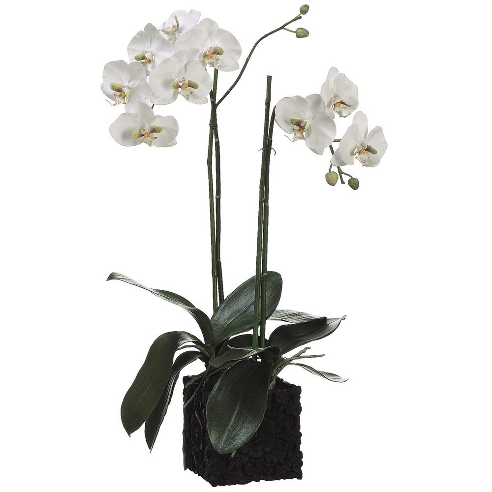 31" Phalaenopsis Orchid Plant in Polyresin Container White Green