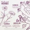 WishGarden Herbs Immune Boost for Pregnancy - Plant-Based Herbal Immune Support Supplement w/Echinacea, Immune Boost Tincture for Pregnant & Postpartum Moms, Pregnancy-Safe Immune System Support, 2oz view 4