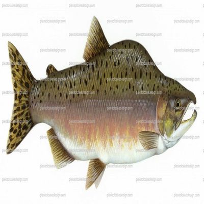 3" ~ Pink Salmon Fish Birthday ~ Edible Cake/Cupcake Topper!!!