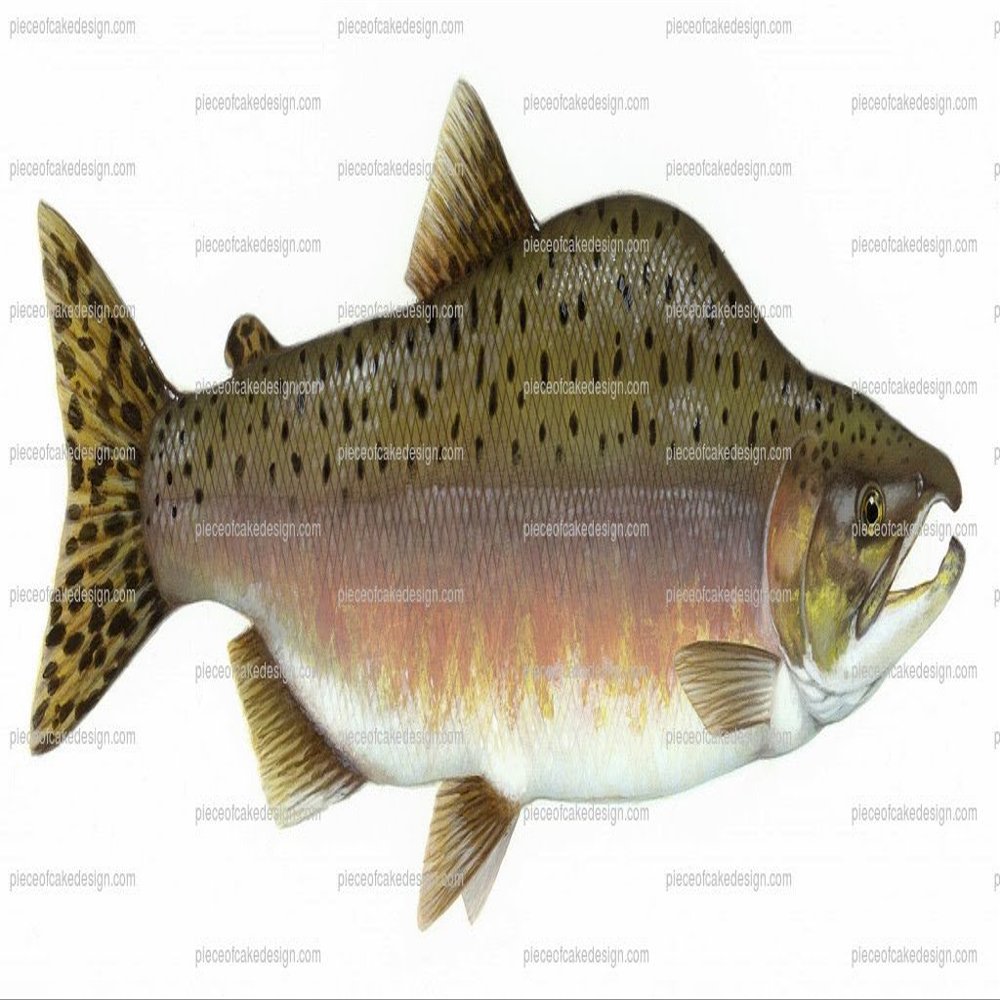 3" ~ Pink Salmon Fish Birthday ~ Edible Cake/Cupcake Topper!!!