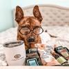 Breakfast in Bed Coffee Gift Basket view 4