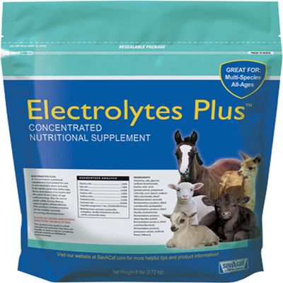 Electrolytes Plus Multi-Species Supplement