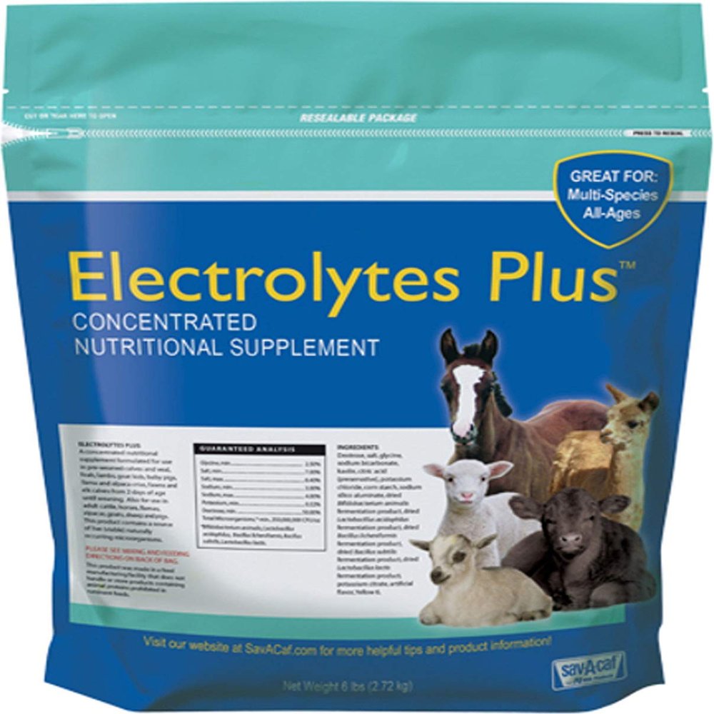 Electrolytes Plus Multi-Species Supplement