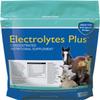 Electrolytes Plus Multi-Species Supplement view 1