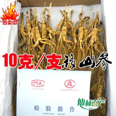 1 Kilo (2.2 lb) Dry Transplant Wild Ginseng Root Herbs, About 20 Years, Relative Integrity