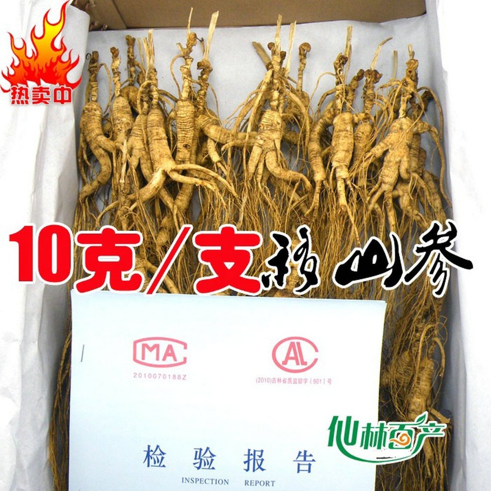 1 Kilo (2.2 lb) Dry Transplant Wild Ginseng Root Herbs, About 20 Years, Relative Integrity