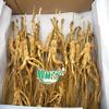 1 Kilo (2.2 lb) Dry Transplant Wild Ginseng Root Herbs, About 20 Years, Relative Integrity view 2