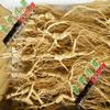 1 Kilo (2.2 lb) Dry Transplant Wild Ginseng Root Herbs, About 20 Years, Relative Integrity view 3
