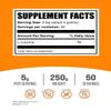 BulkSupplements.com L-Leucine Powder - Leucine Supplements, BCAA Supplements - Amino Acid Powder, Unflavored, 5g per Serving, 250g (8.8 oz) (Pack of 1) view 2