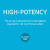 21st Century Slow Release Iron Tablets, 60 Count PACK OF 2 - Packaging May Vary view 2