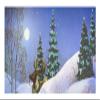 POP UP 3D Card with Sounds THROUGH THE WOODS view 3