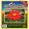 Everwilde Farms - 100 Mexican Sunflower Wildflower Seeds - Gold Vault Jumbo Seed Packet view 1