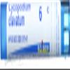 Boiron, Lycopodium Clavatum 6c Multi Dose Tube, 80 Count view 1