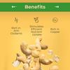 Sincerely Nuts - Raw Cashews Pieces Unsalted | Healthy Snack, Source of Protein | Keto and Paleo Friendly Gourmet Quality Vegan | Organic Cashew Nuts Bulk,1 (LB) Bag view 3