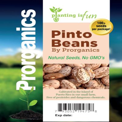 100 Organic Pinto Beans Seeds by Prorganics