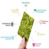 Gimme Seaweed, Organic Roasted Seaweed, (5g), non-GMO & Gluten-Free, Sea Salt, 0.17 Oz view 3